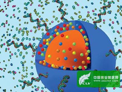 新型纳米技术工具可检测禽流感病毒